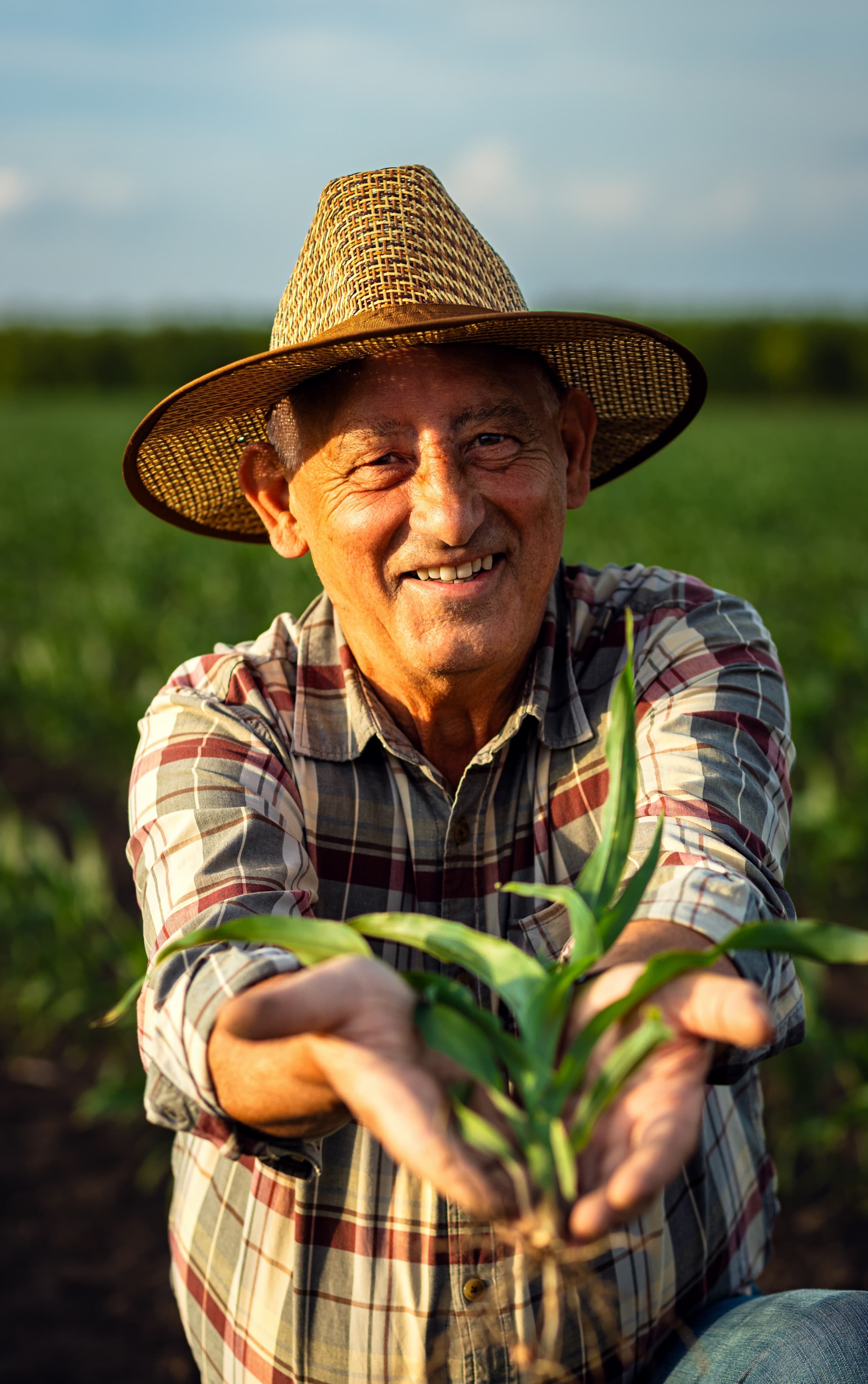Smiling farmer holding a young corn plant in a field