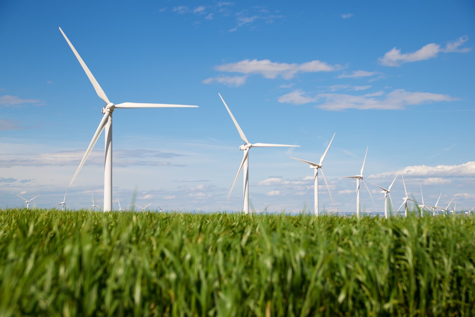 Wind turbines generating clean renewable energy