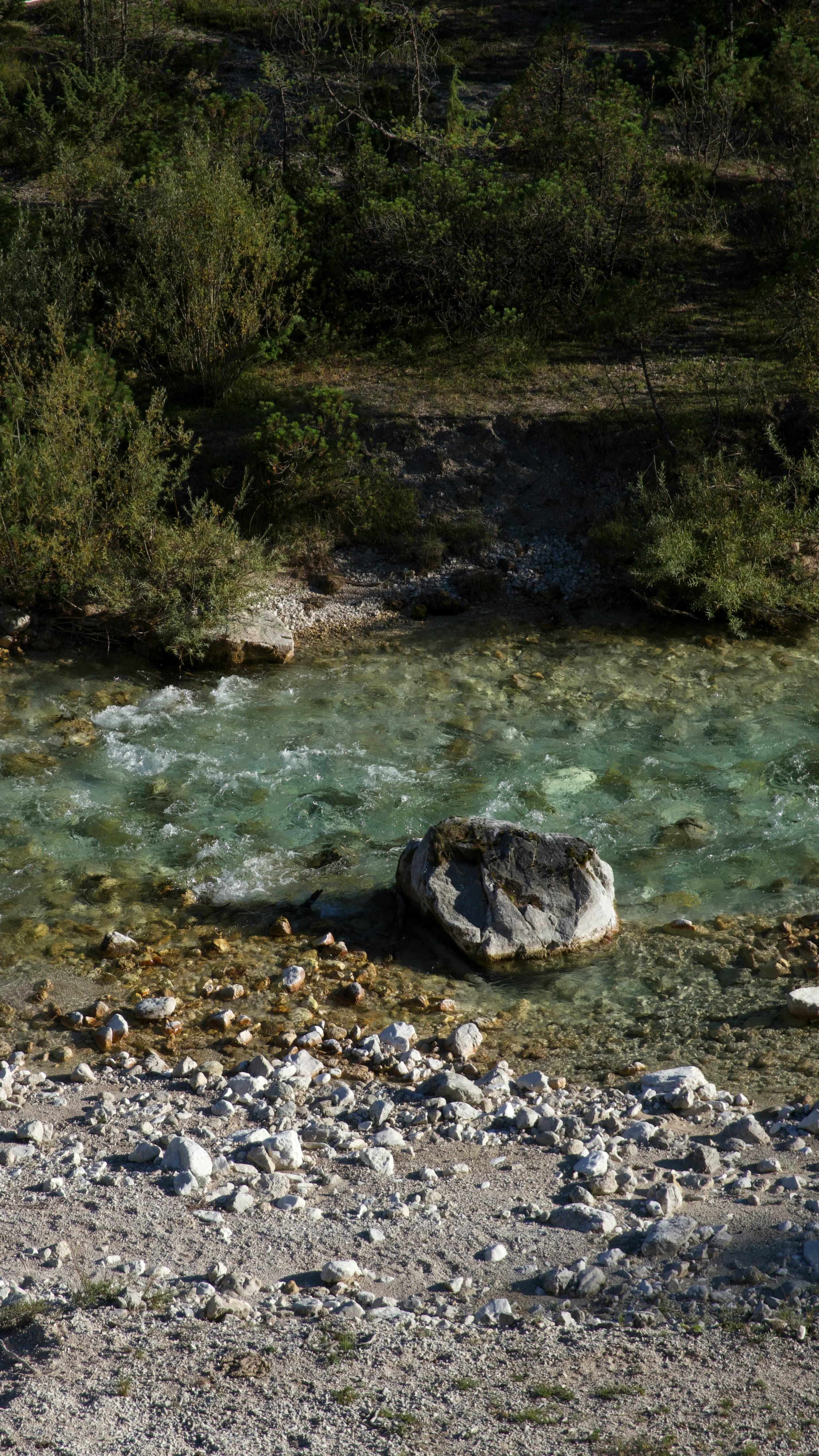 Clear river flowing over rocks with trees representing clean verified data sources